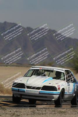 media/Oct-12-2025-Lucky Dog Racing (Sun) [[8adb5568ea]]/3-Third    Stint/4-Turn 4 (Tree of Life)/